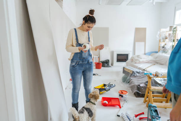 Best Drywall Installation  in Mount Shasta, CA